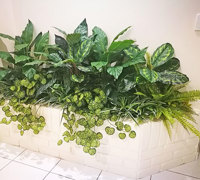 Entry Planters get a revamp...