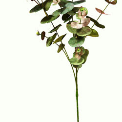 Leaf Sprays- Sweet Gums  - artificial plants, flowers & trees - image 2