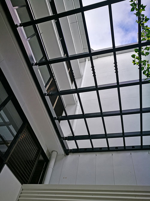 Vines over pergola for instant coverage...