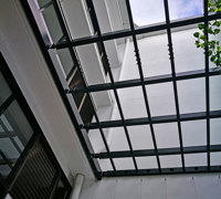 Vines over pergola for instant coverage...
