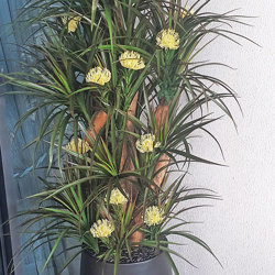 Flame Trees 1.5m - artificial plants, flowers & trees - image 4