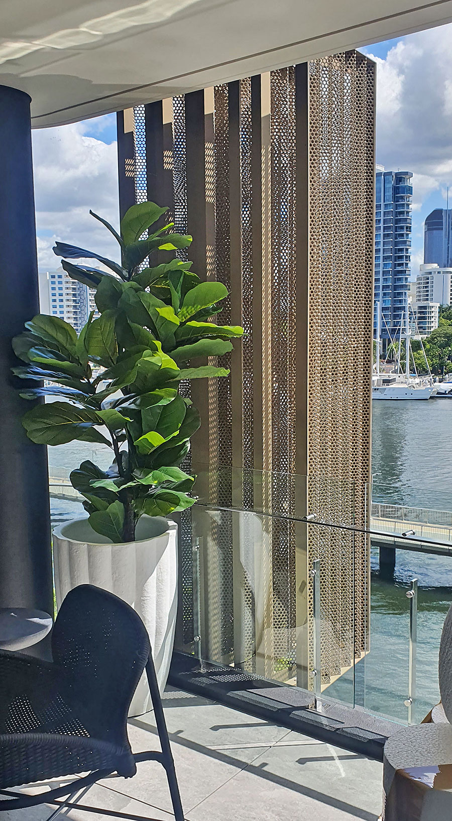 Fiddle-Leaf Ficus 'giant-leaf' 1.6m