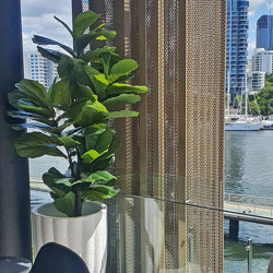 Fiddle-Leaf Ficus 'giant-leaf' 1.6m - artificial plants, flowers & trees - image 3