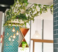 Greenery is TRENDING...