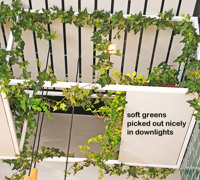 Greenery is TRENDING...