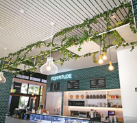 Greenery is TRENDING...