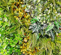 Artificial Green Wall for modern open-plan office...