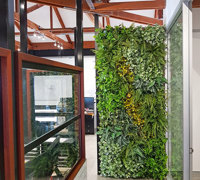 Artificial Green Wall for modern open-plan office...