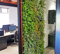 Artificial Green Wall for modern open-plan office...