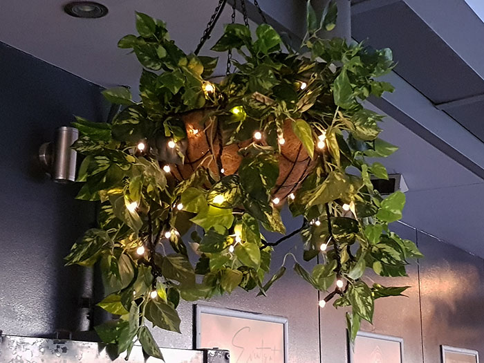 Hanging-Baskets with lights brighten up marina restaurant...