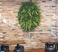 Latest Green-Accents for inner-city Cafe...