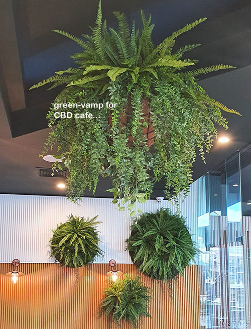Latest Green-Accents for inner-city Cafe...