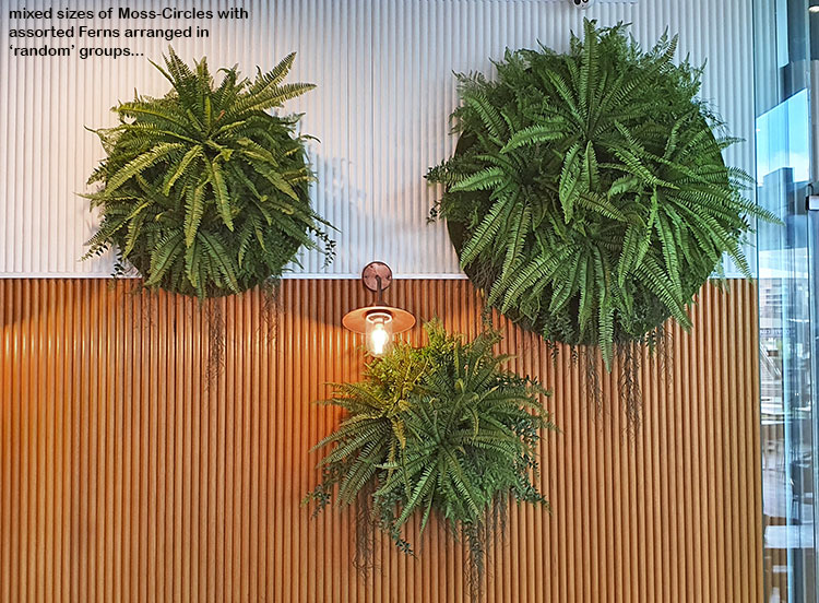 Latest Green-Accents for inner-city Cafe...