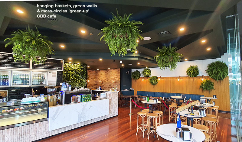 Latest Green-Accents for inner-city Cafe...