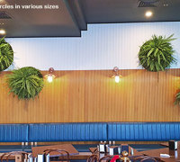 Latest Green-Accents for inner-city Cafe...