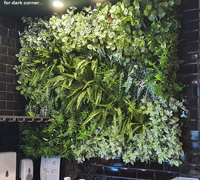 Latest Green-Accents for inner-city Cafe...