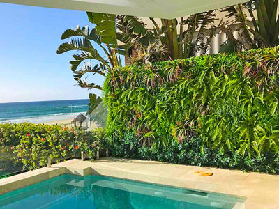 Artificial Green Wall sets off ocean-front luxury life...