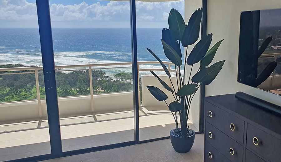 Heliconia Palms- 1.8m