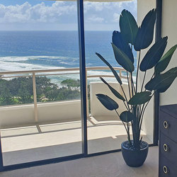 Heliconia Palms- 1.8m - artificial plants, flowers & trees - image 6