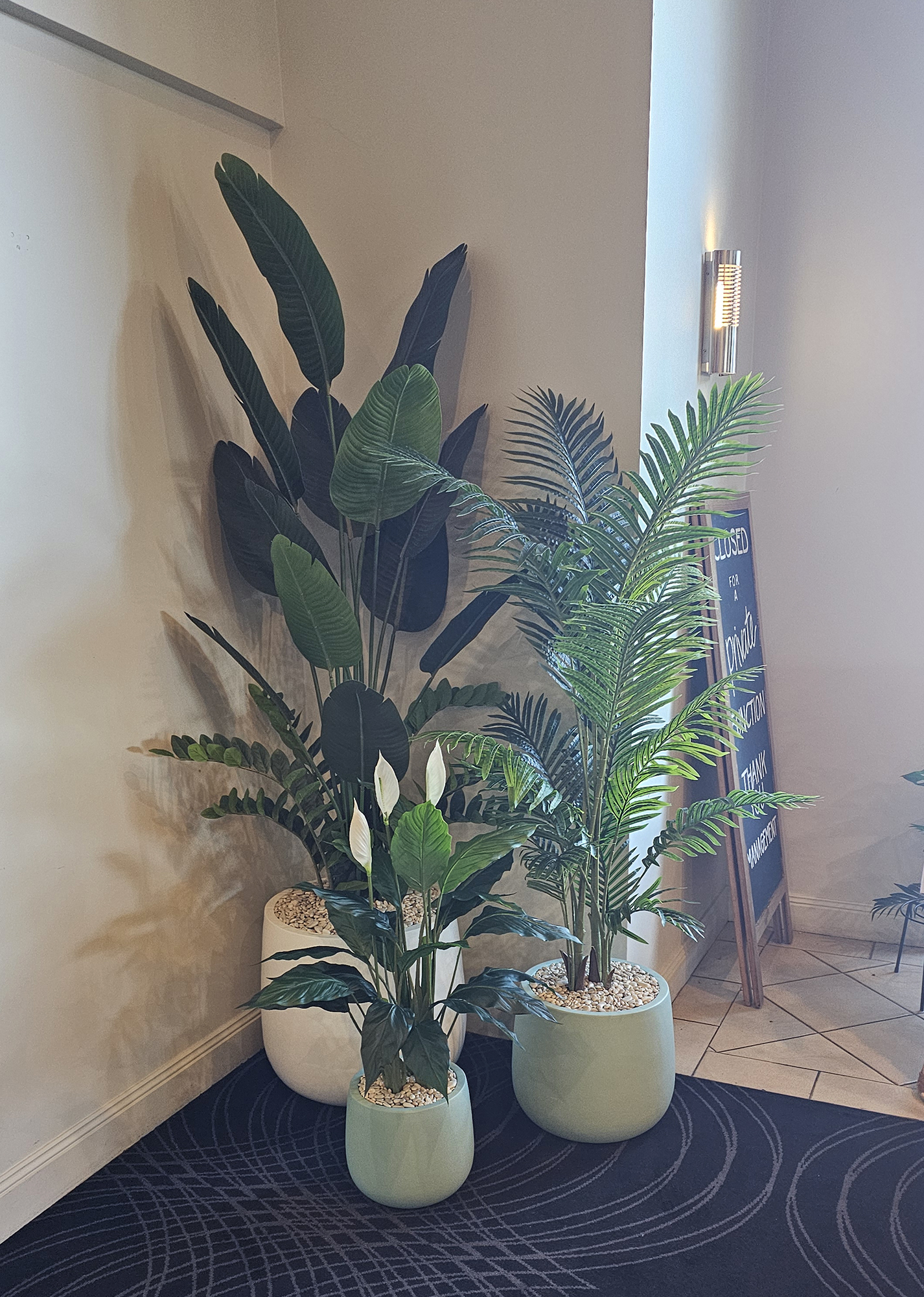 Group of assorted planters in corner