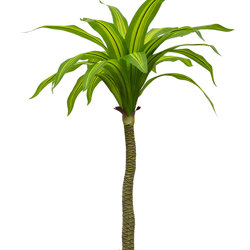 Happy Plant 1.3m double  - artificial plants, flowers & trees - image 6