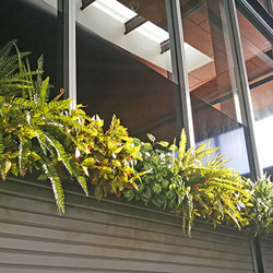 Fish-bone Ferns [large] - artificial plants, flowers & trees - image 5