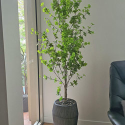 Japanese Azalea [enkianthus] 1.8m - artificial plants, flowers & trees - image 3