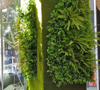 Before & After Shots..... Green-Walls 2