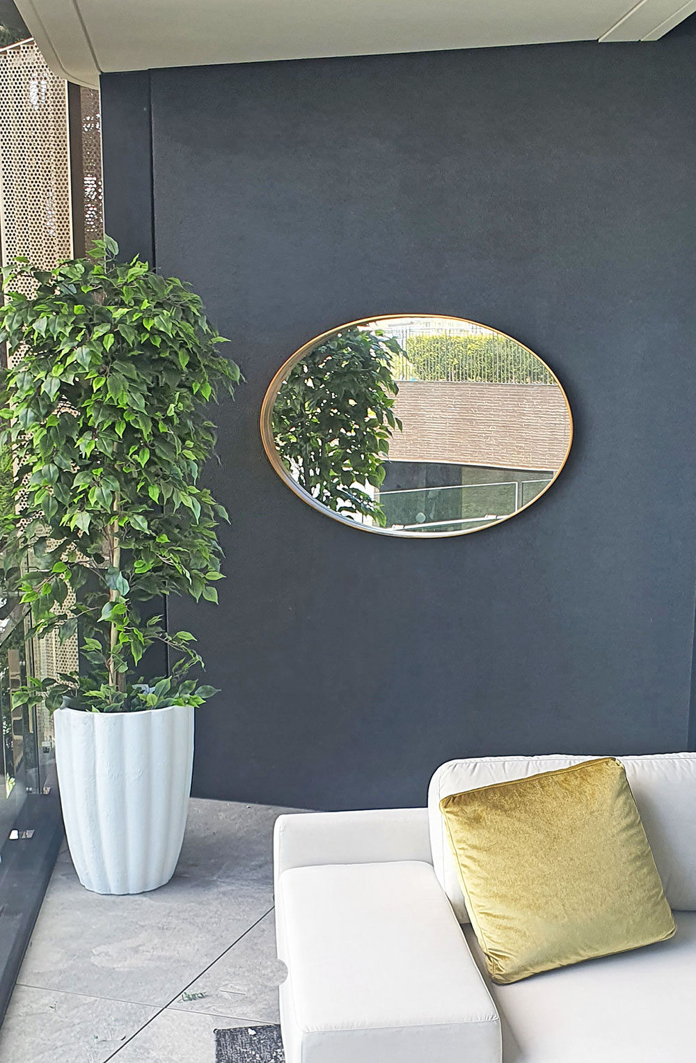 Weeping Ficus 1.5m UV-rated