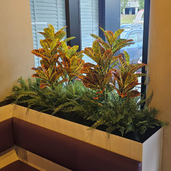 Croton 90cm - artificial plants, flowers & trees - image 1