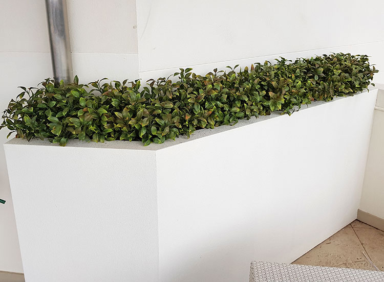 Before & After Shots..... Outdoor Planters