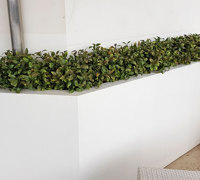 Before & After Shots..... Outdoor Planters
