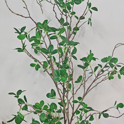 Leaf Sprays- Lilly Pilly - artificial plants, flowers & trees - image 3