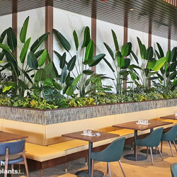 Heliconia Palms- 2.4m - artificial plants, flowers & trees - image 4