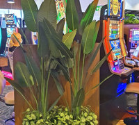 New extensions at large Club feature lush greenery...