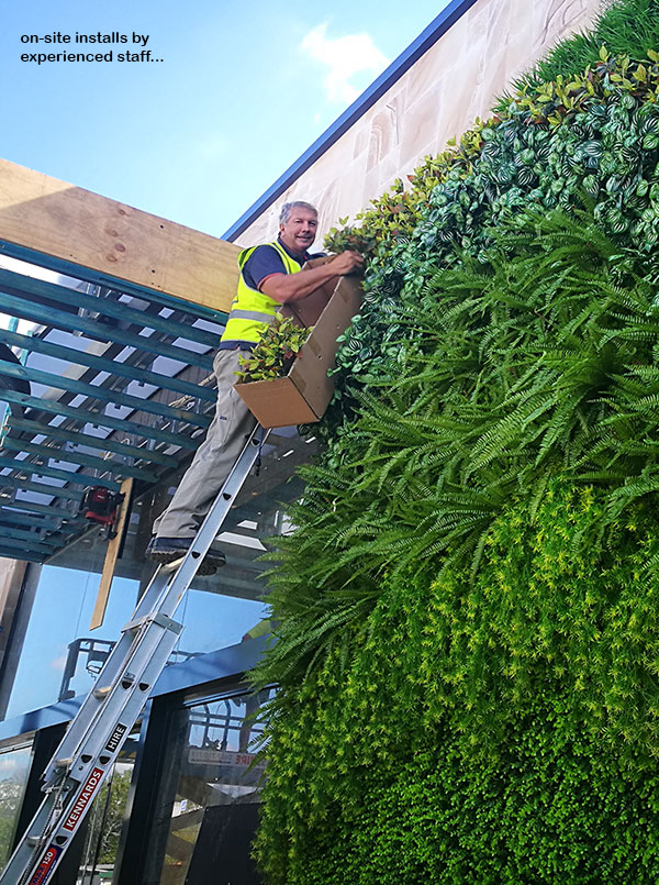 Artificial Green Wall flows seamlessly from outdoors into club foyer