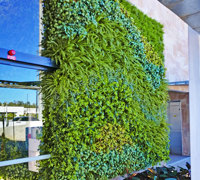 Artificial Green Wall flows seamlessly from outdoors into club foyer