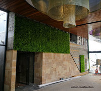 Artificial Green Wall flows seamlessly from outdoors into club foyer