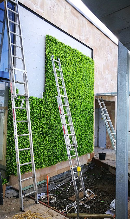 Artificial Green Wall flows seamlessly from outdoors into club foyer