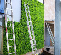 Artificial Green Wall flows seamlessly from outdoors into club foyer