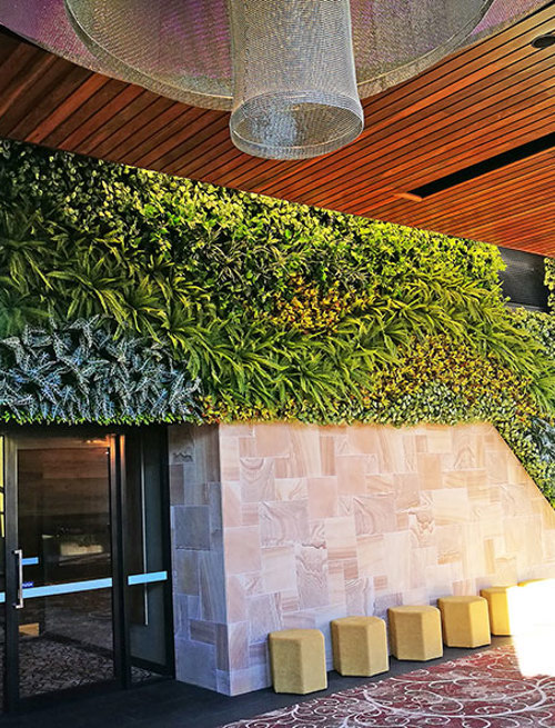 Artificial Green Wall flows seamlessly from outdoors into club foyer