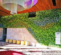 Artificial Green Wall flows seamlessly from outdoors into club foyer