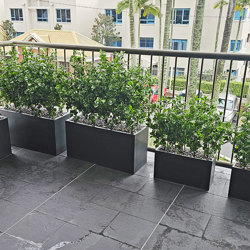 UV-Bush Lucky Jade 80cm - artificial plants, flowers & trees - image 7
