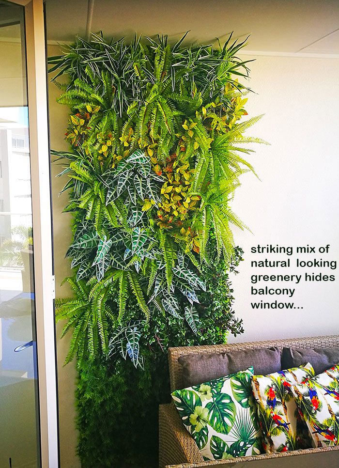 Before & After Shots..... Green-Walls 1