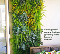 Before & After Shots..... Green-Walls 1
