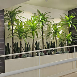 Happy Plant 1.3m double  - artificial plants, flowers & trees - image 2
