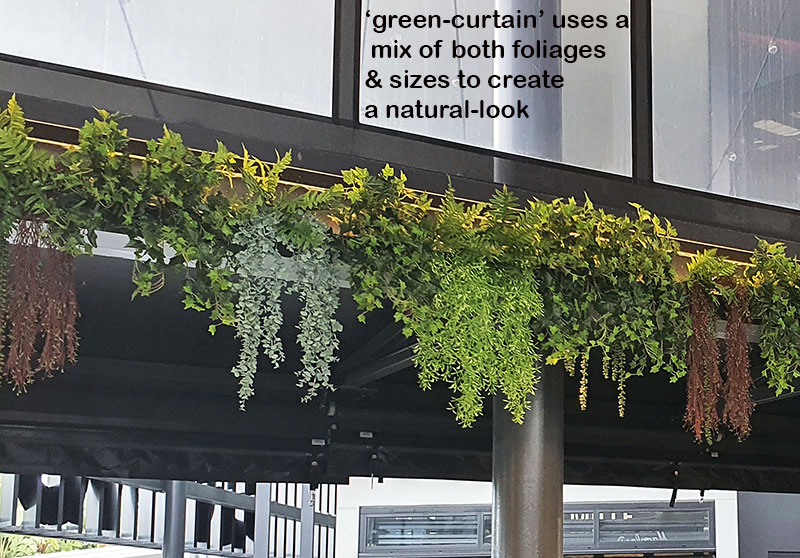 Breezy 'green-curtain' for popular Cafe...