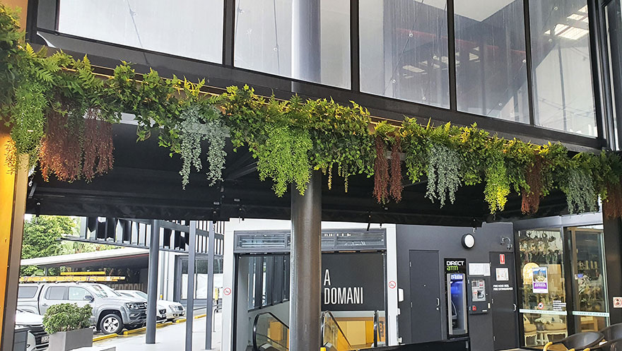 Breezy 'green-curtain' for popular Cafe...