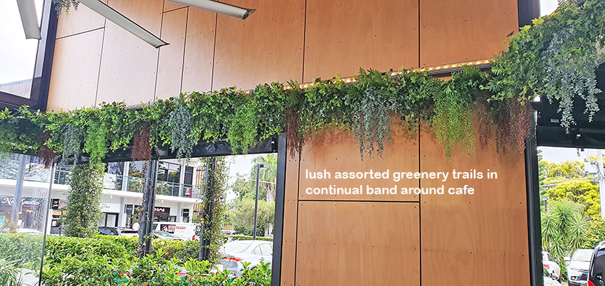 Breezy 'green-curtain' for popular Cafe...