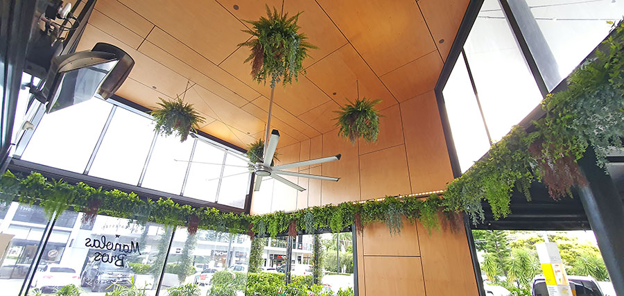 Breezy 'green-curtain' for popular Cafe...